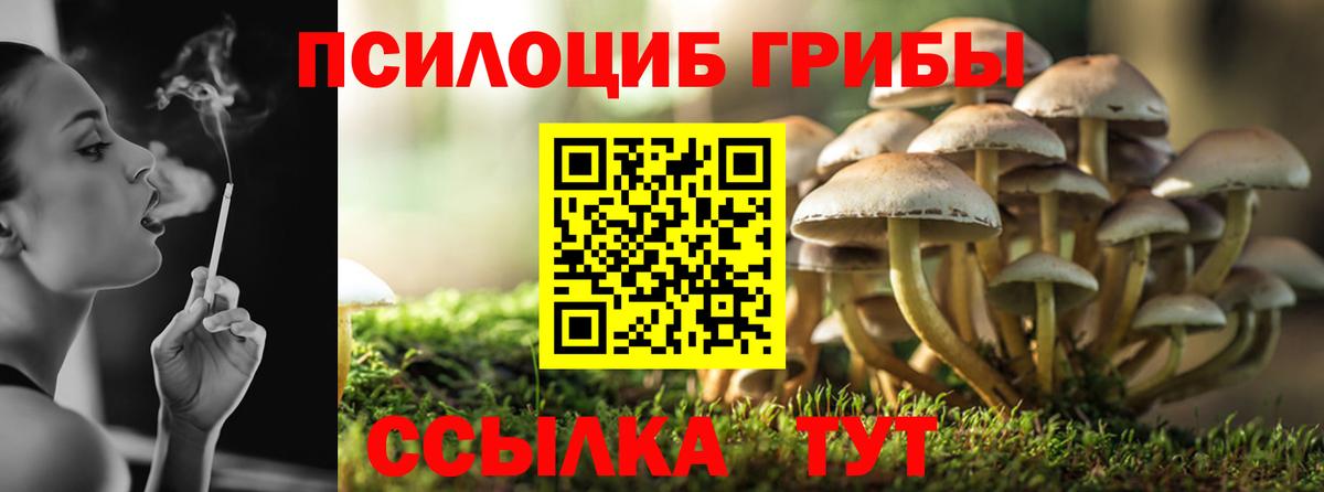 Галлюциногенные грибы Magic Shrooms  Галлюциногенные грибы мухоморы  Вход с VPN  Ульяновск 