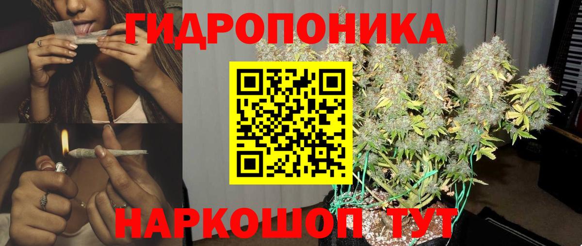 Шишки марихуана Ganja  Бошки марихуана гибрид  Ульяновск  Вход с VPN  Конопля план 